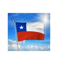 Şili Devleti Bayrağı Premium Raşel Kumaş 100x150 cm