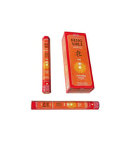 2 Paket Hem Feng Shui Fire Tütsü