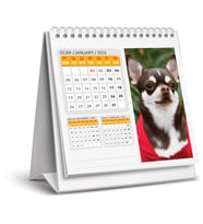 2026 MASA TAKVİMİ KÖPEK-16X15 CM-SERT TAŞIYICILI-SPİRALLİ