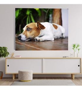 Sevimcil Yavru Köpek Dekoratif Kanvas Tablo