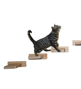 Barış Dizayn Doğal ahşap kedi basamağı kedi köprüsü duvar yürüyüş yolu kedi oyunu (6 adet) 17cm