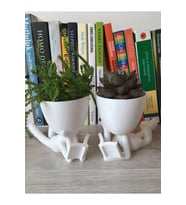 Insansı Kitap Okuyan Saksı 2'li Set