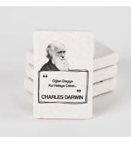 Darwin Esprili Taş Buzdolabı Magneti