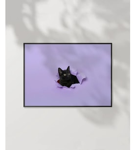 Mor Fon Üzerinde Siyah Kedi Poster