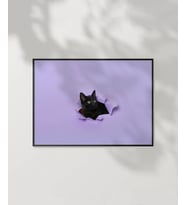 Mor Fon Üzerinde Siyah Kedi Poster (Çok Renkli)