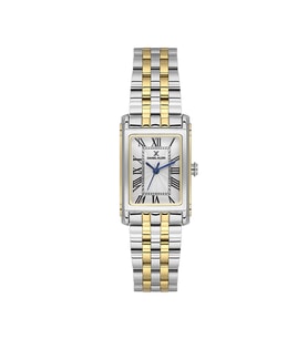 Daniel Klein DKE.1.10863-4 Premium Kadın Kol Saati (Altın-Gümüş)