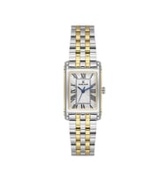 Daniel Klein DKE.1.10863-4 Premium Kadın Kol Saati (Altın-Gümüş)