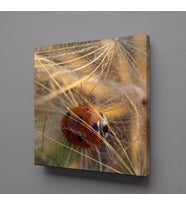 ÇİÇEKLERİN ARASINDA UĞUR BÖCEĞİ KANVAS TABLO 40x40cm (Karışık)