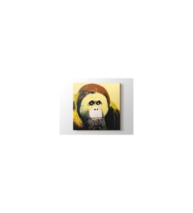 DBSanatevi Andy Warhol - Orangutan Tablo 50 X 50 Cm