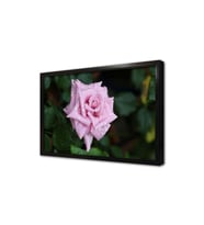 Pembe Gül Çerçeveli Mdf Tablo