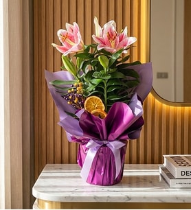 Buket Kağıdında Saksı Lilyum