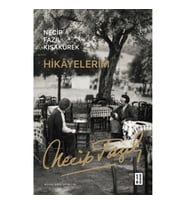 Hikayelerim