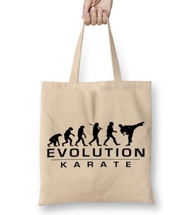 Karate Evolution Bez Çanta Uzun Saplı