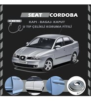 Seat Cordoba Oto Araç Kapı Koruma Fitili 5metre Parlak Gri Renk