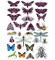 Kelebek Sticker Set-1 18 Parça Telefon, Tablet, Defter, Laptop Sticker