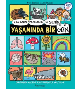 Kakanın, Pandanın ve Senin Yaşamında Bir Gün
