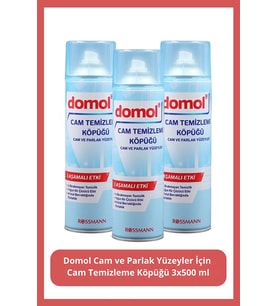Cam Temizleme Köpüğü Cam ve Parlak Yüzeyler 500 ml (3 Adet)