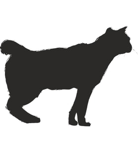KEDİ FOLYO STİCKER 20cm uzunluk