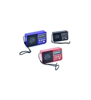 Rt-303 Usb Ve Micro Kart Girişli Manuel El Radyosu Nostaljik Radyo
