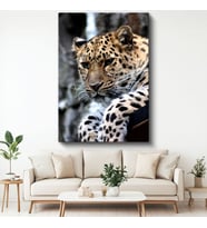 Leopar Portresi - Benekli Desenli Yırtıcı Kanvas Tablo