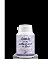 ERSAĞ ASTRAGALUS (ÇİN GEVENİ)