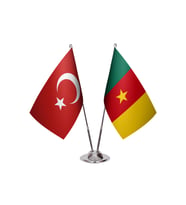 Kamerun İkili Masa Bayrağı