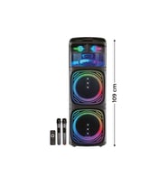 Çift Wooferlı Bluetooth Kule Hoparlör Profesyonel Çift Mikrofonlu Karaoke Seti LED Işıklı Speaker (Siyah)
