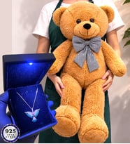 Premium Set Büyük Boy Kahve Peluş Ayıcık ve Işıklı Kutusunda 925 Ayar Gümüş Kolye (Model 6)