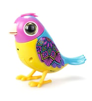 Digibirds Tekli Paket Seri 2 - Model 1
