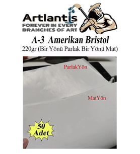 A3 Amerikan Bristol Karton 29.7x42 cm 50 Adet 220 gr Bir Tarafı Parlak Bir Tarafı Mat Kağıt Biristol Karton (Beyaz)