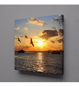 GÜN DOĞUŞU VE BATIŞI KUŞLAR KANVAS TABLO 110x110cm (Karışık)
