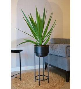 Metal Saksı Ayaklı Çiçeklik Dekoratif Siyah Saksı Vazo Saksılık 62x26cm