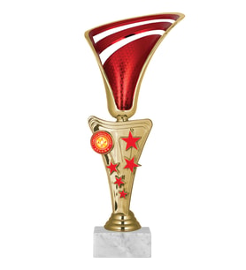 ODAK KUPA - Genel Kupalar - GN-039 A - 28 cm