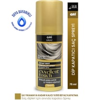 Jaja Exxellent Touch Dip Kapatıcı Saç Spreyi Gri 75 ml