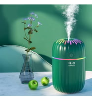 H2O Humidifier  Hava Nemlendirici Buhar Makinesi (Yeşil)