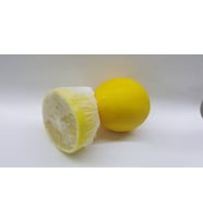 TEKÇE LİMON BONESİ ÇEKİRDEKSİZ LİMON KEYFİ  100 ADET
