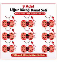9 lu Uğur Böceği Kostüm Seti - Kanat Taç Asa