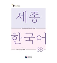 SEJONG KOREAN VOCALUBARY AND GRAMMER 3B