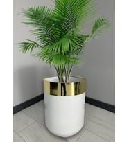 Dekoratif Gold Darbuka Parlak Beyaz Saksı 60cm (Beyaz Gold)