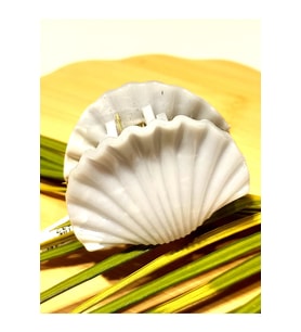 Monalisa Home 5 cm Lüks Renkli Parlak Kıstırma Toka