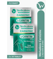 Wellvalens Carnizinc L-Karnitin 1000 mg + Çinko 2 Kutu 60 Tablet