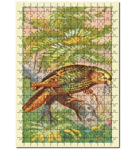 Cakapuzzle Kakapo Papağan Kuş Görseli Puzzle Yapboz MDF (Ahşap) (120 Parça)