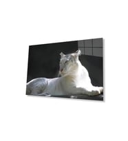 Aslan Cam Tablo 4mm Dayanıklı Temperli Cam (Çok Renkli)