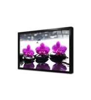 Spa Taşları ve Orkide Çerçeveli Cam Tablo