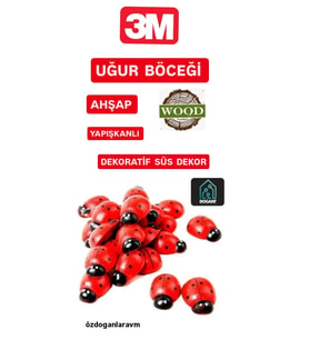 Uğur Böceği Ahşap Parti Dogum Günü Dekor Süslemesi 50 Adet