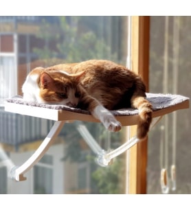 Model Cam Ve Duvar İçin Kedi Yatağı Vantuzlu