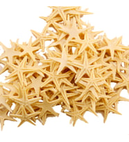 Polyester Deniz Yıldızı Minik Boy  1.5 Cm -3 Cm (100 Adet)  Natural