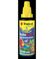 Tropical Bacto Active 30ml Bakteri Kültürü Skt:11/2028