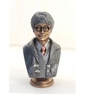 Polyester Harry Potter Büst Küçük 235