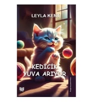 Kedicik Yuva Arıyor